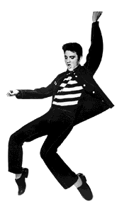 Elvis, the Pelvis, faz 50 anos | Digestivo Cultural